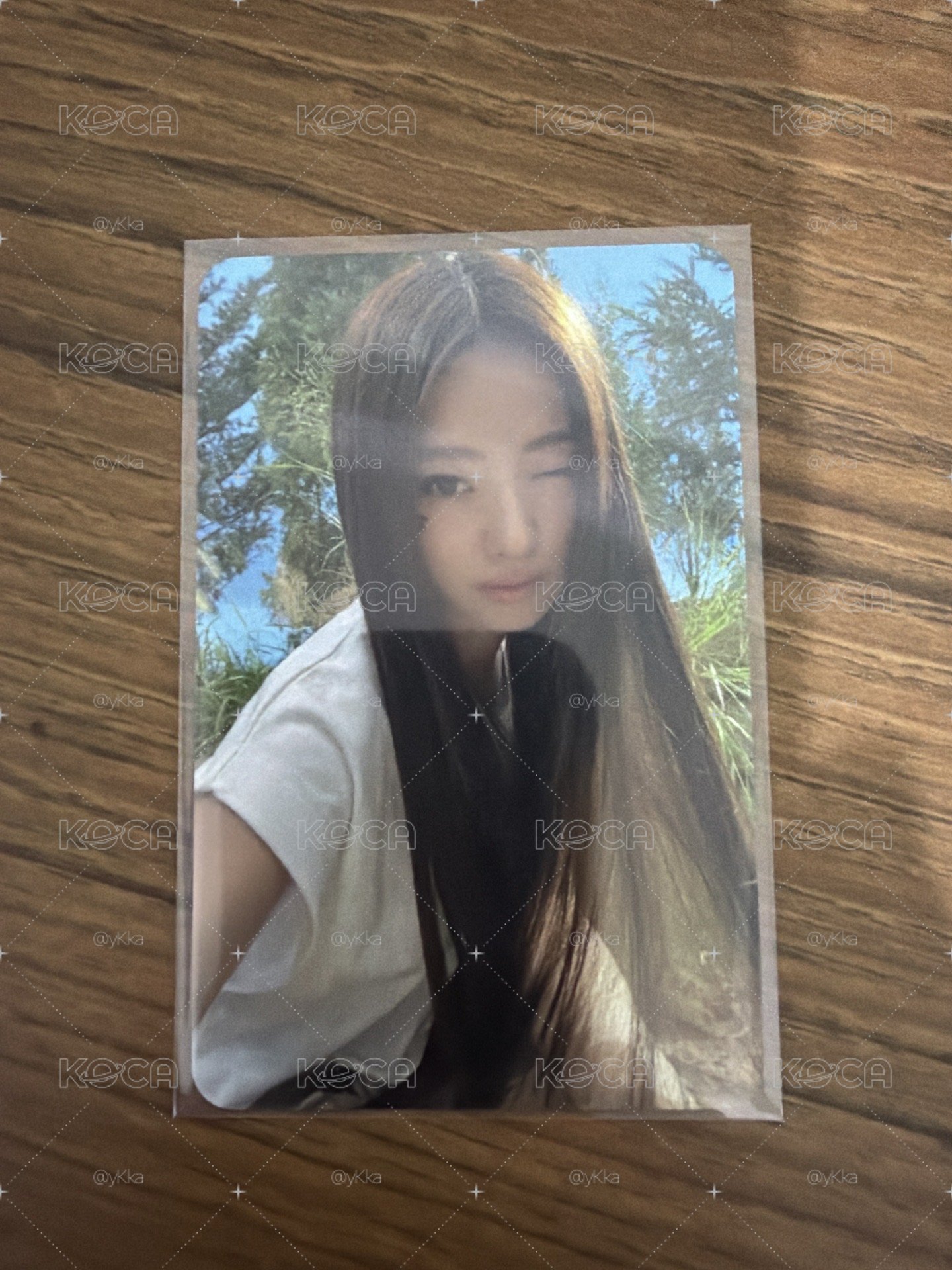 Anna 打歌卡