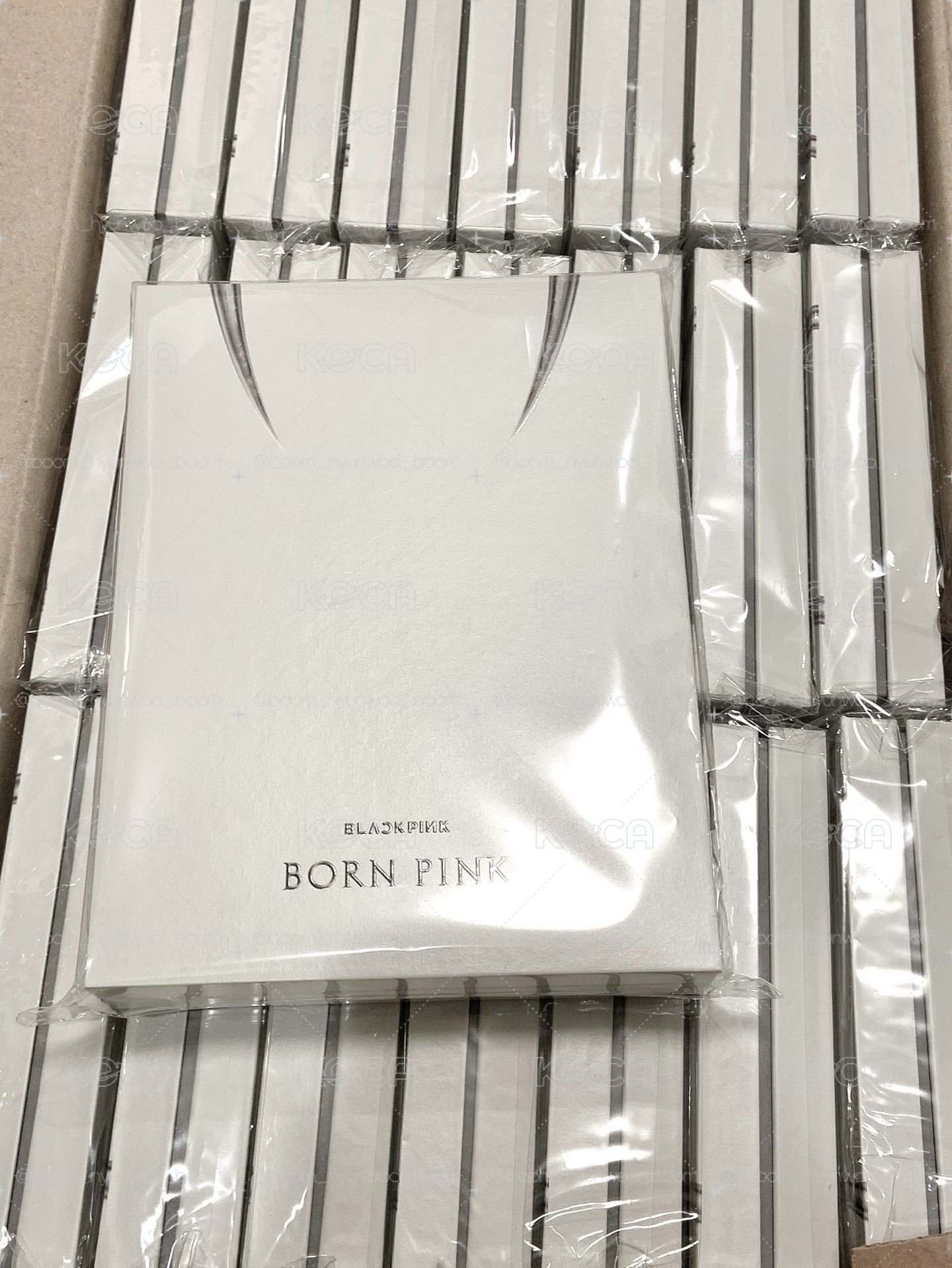 BORN PINK 灰版專輯 未拆專 空專