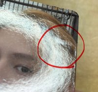 wvs 預售特典(有損如圖）