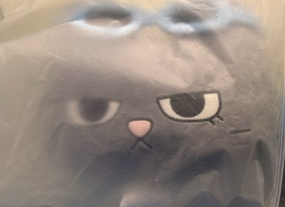 漢泰風抱枕