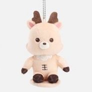 RIIZE LOUD Final 磁吸 中娃 