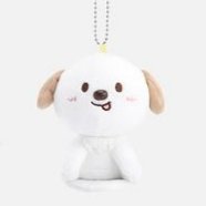 RIIZE LOUD Final 磁吸 中娃 