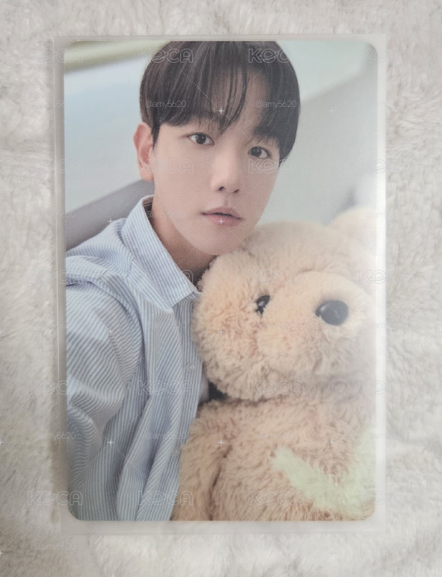 DICON 🐻雜誌卡