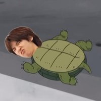 🐢🐟🦅