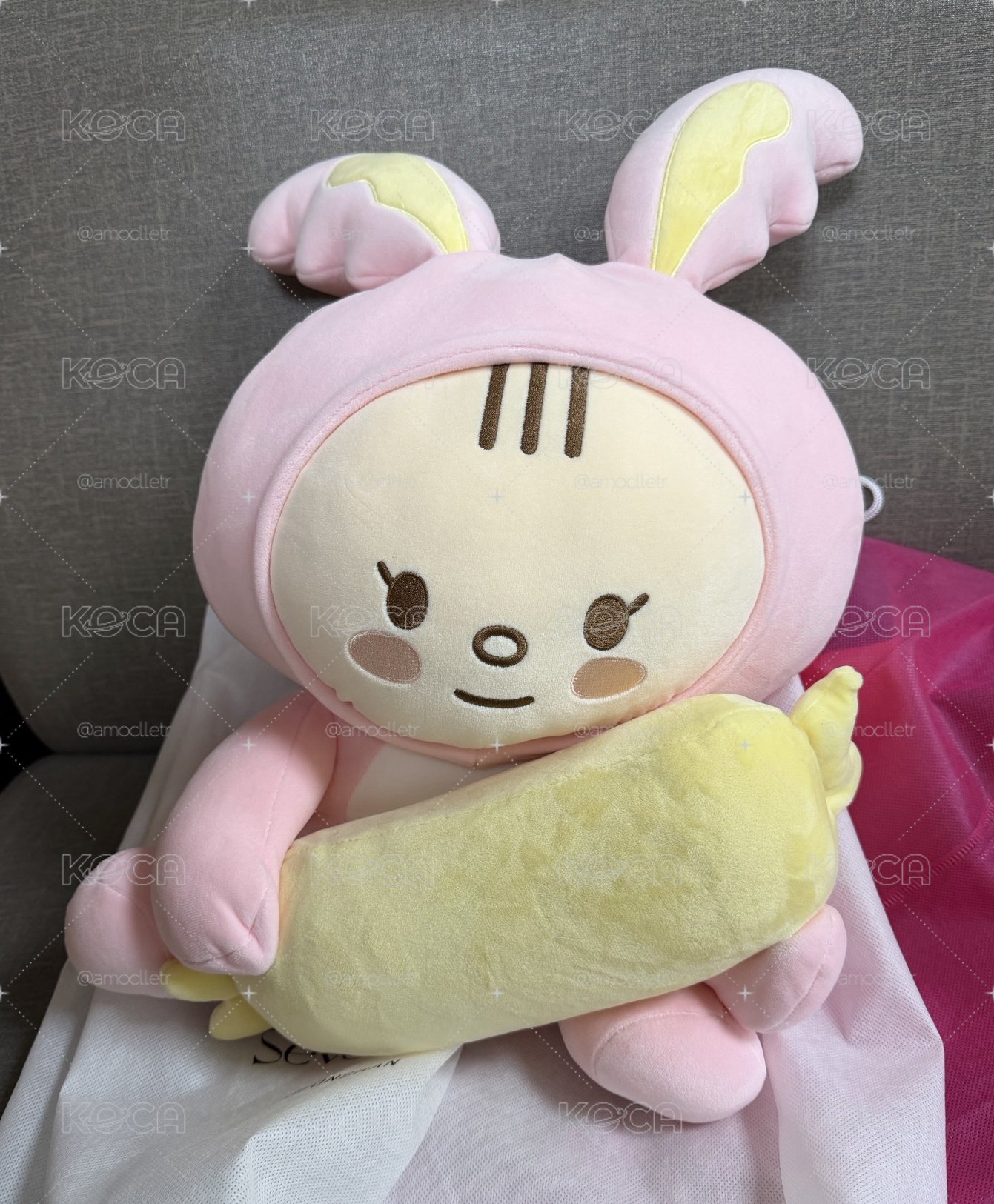 淨漢 淨兔鼠 大娃 