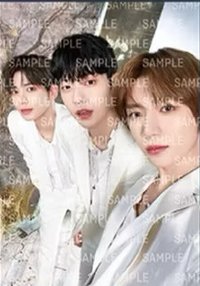 22’巡迴 周邊卡 包包卡