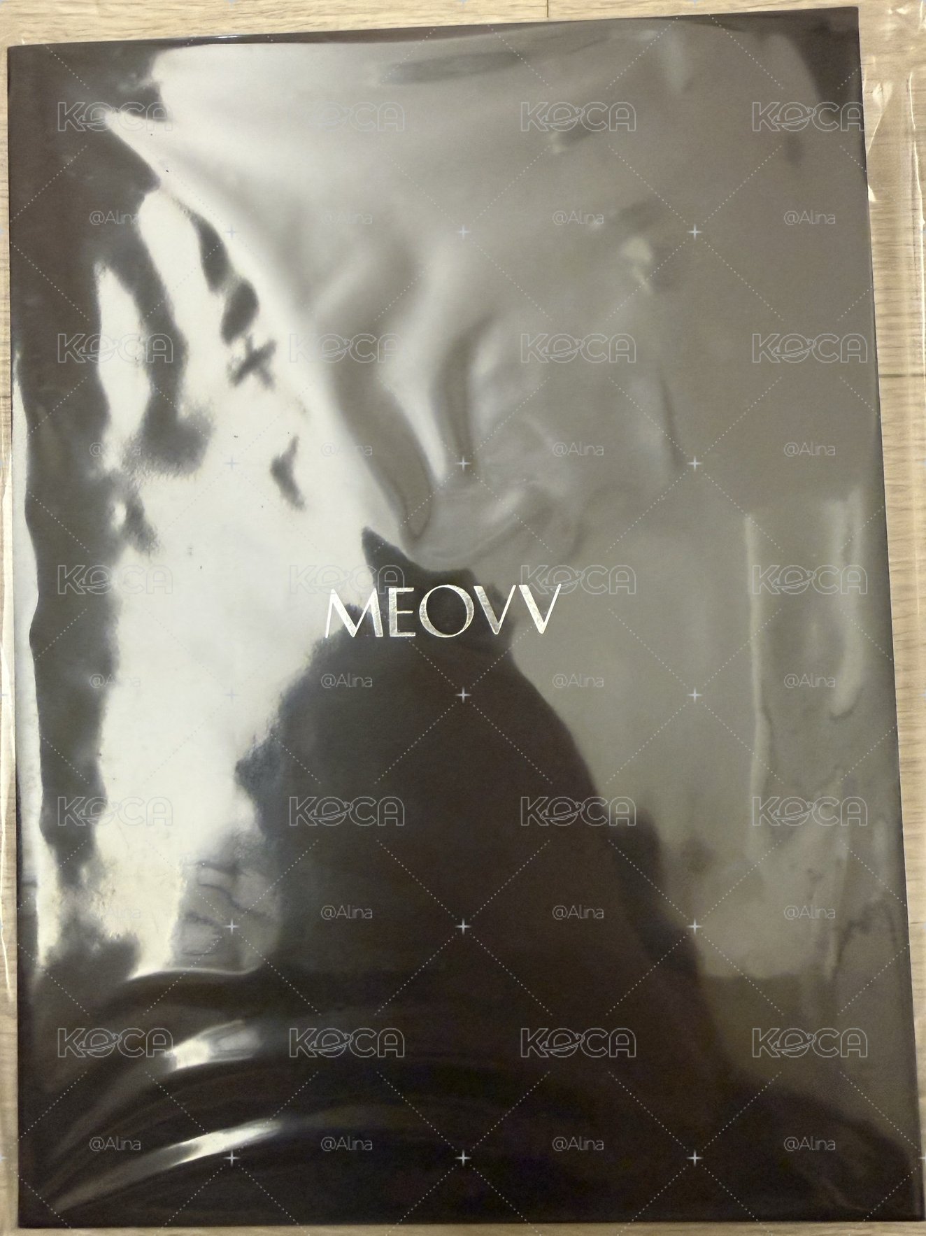 Meovv日記本（未拆）