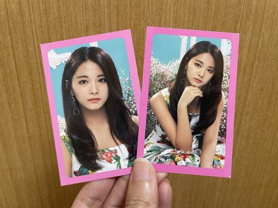 Twice_Twiceland二巡演唱會 鐵盒小卡：粉板子瑜卡