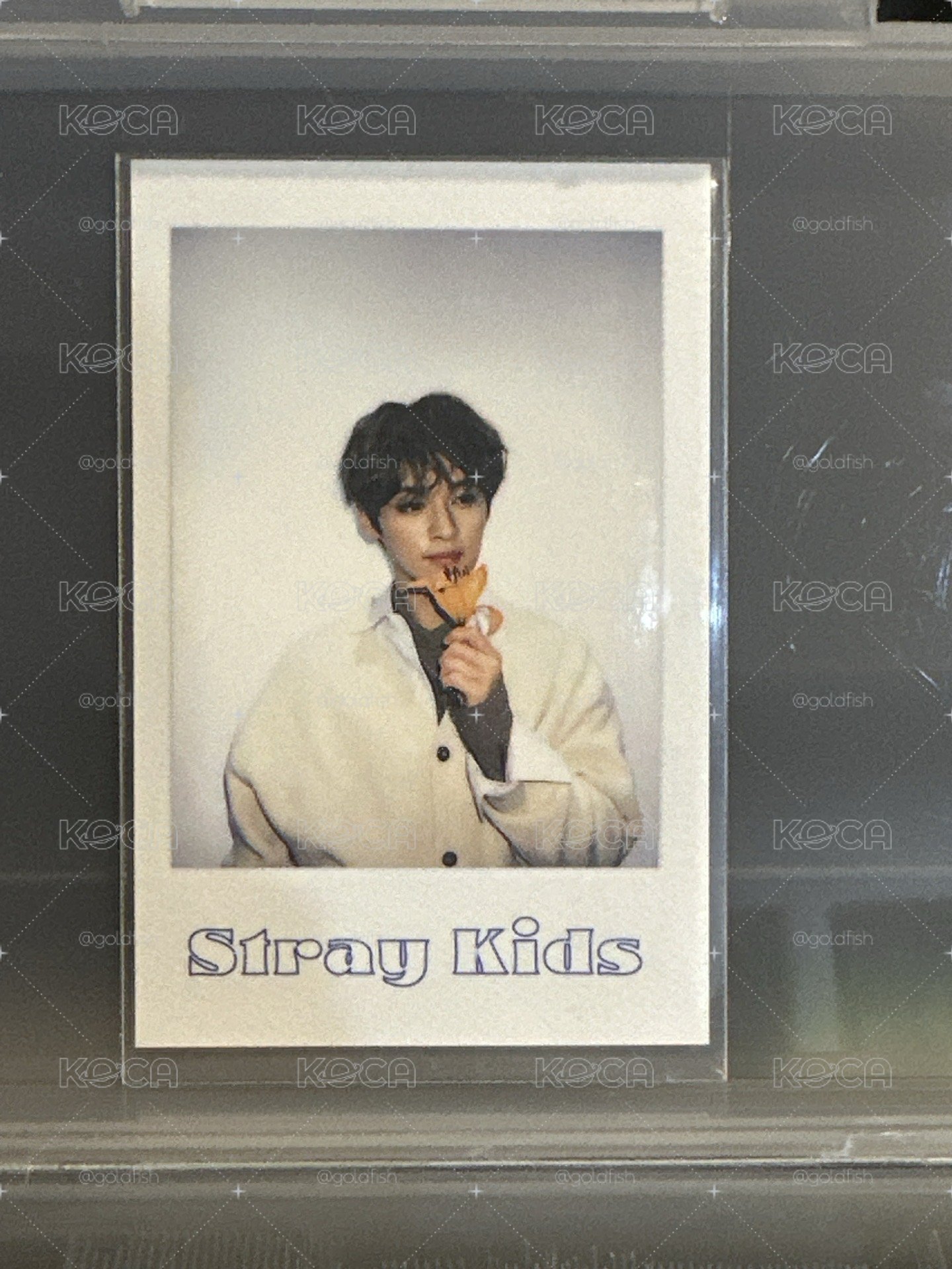 stray kids Lee Know