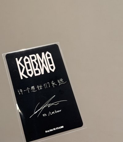 SKZ karma kms2.0中背旻小盤