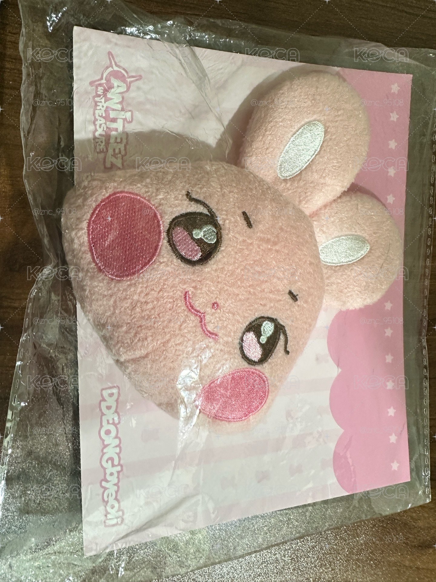 🐰ANITEEZ IN TREASURE 行李吊牌 PLUSH NAME TAG 星大頭（綁賣場隨機卡50）