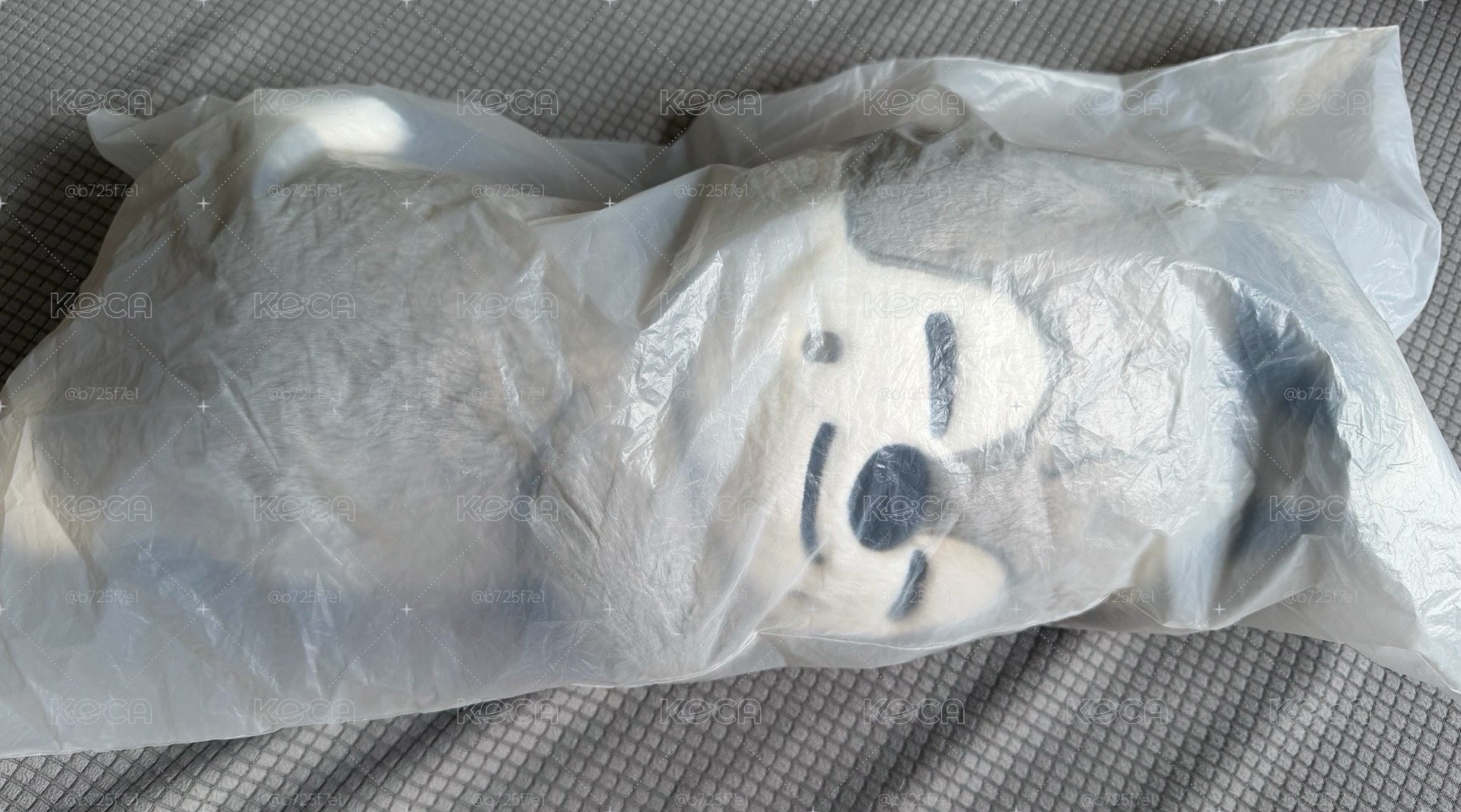 方燦側背娃