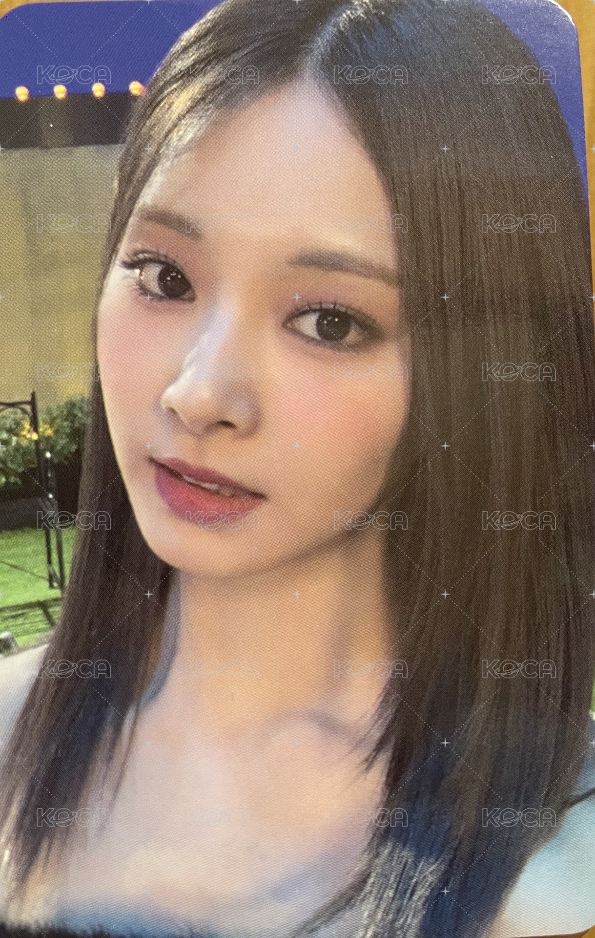 MP特典卡