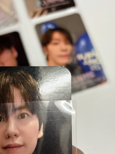 （整套9張）飯迷 SJ 台北簽售卡 童、圭邊角微損