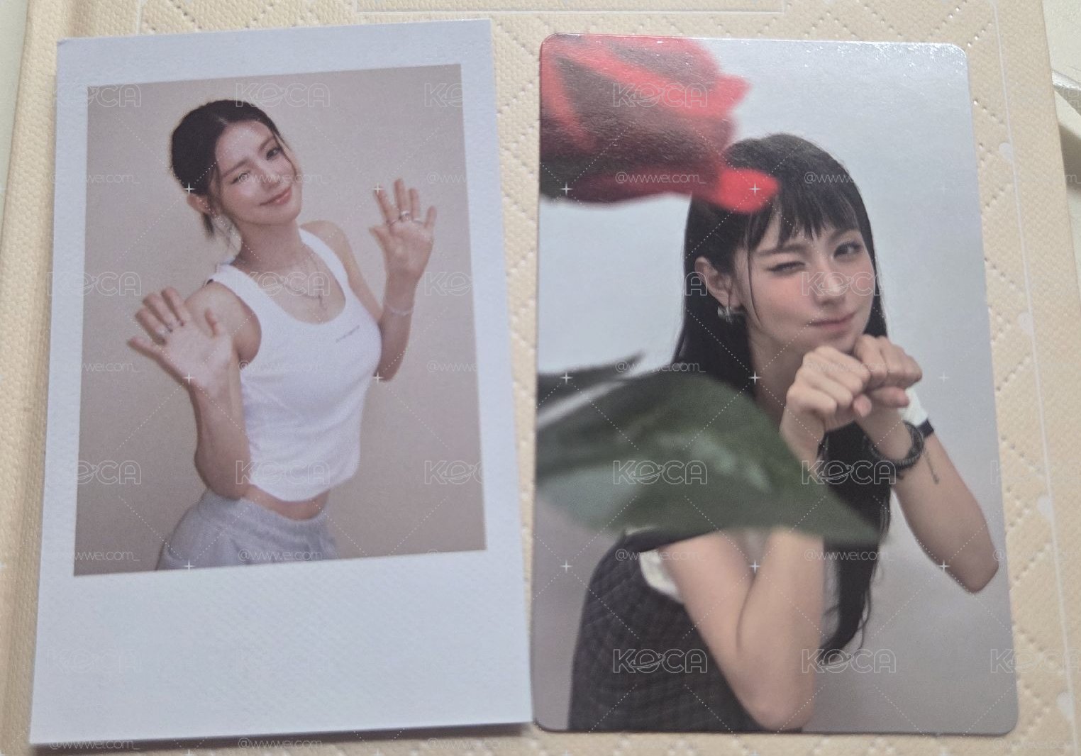 薇娟lo2專卡