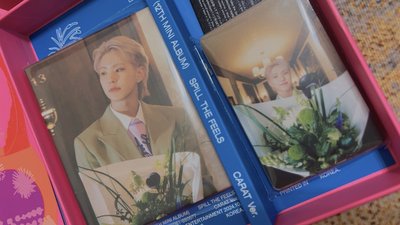 迷12克拉專-Hoshi🐯