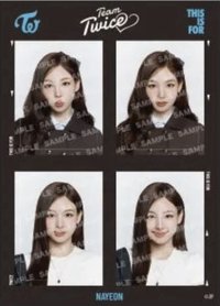 六巡 貼紙 證件照貼紙