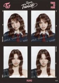 六巡 貼紙 證件照貼紙