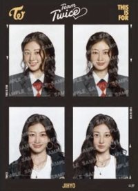 六巡 貼紙 證件照貼紙