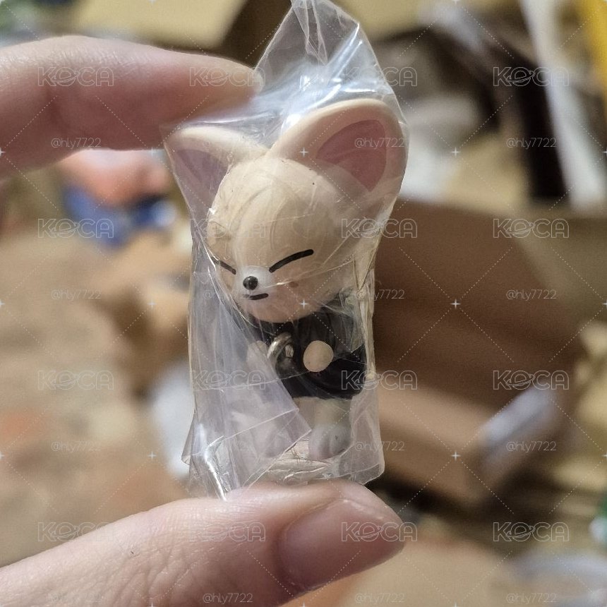 Skzoo 扭蛋 寅