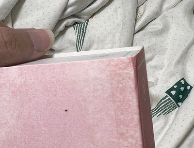 PAGE TWO 限量彩瑛手繪封套專