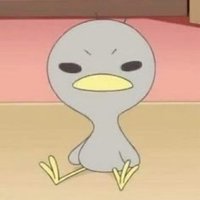 sebbb