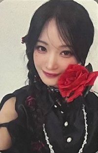 迷你二   特典卡 玫瑰