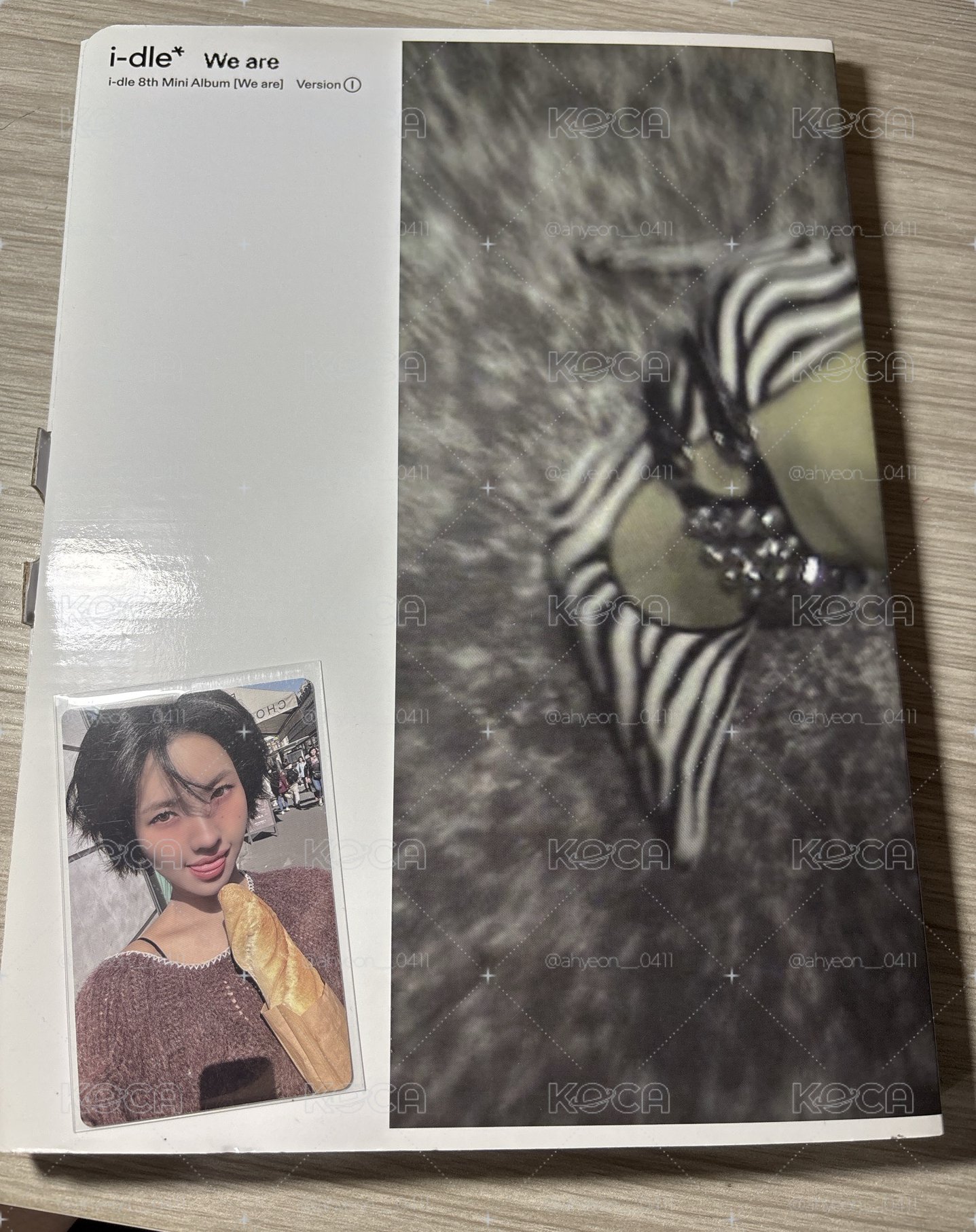 已拆全專（配置無缺漏）