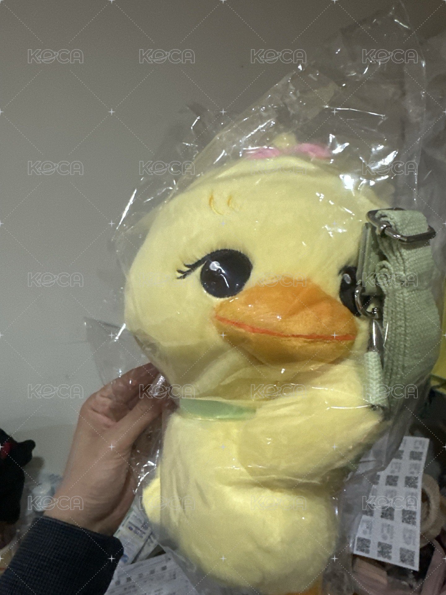 Lisa斜揹娃