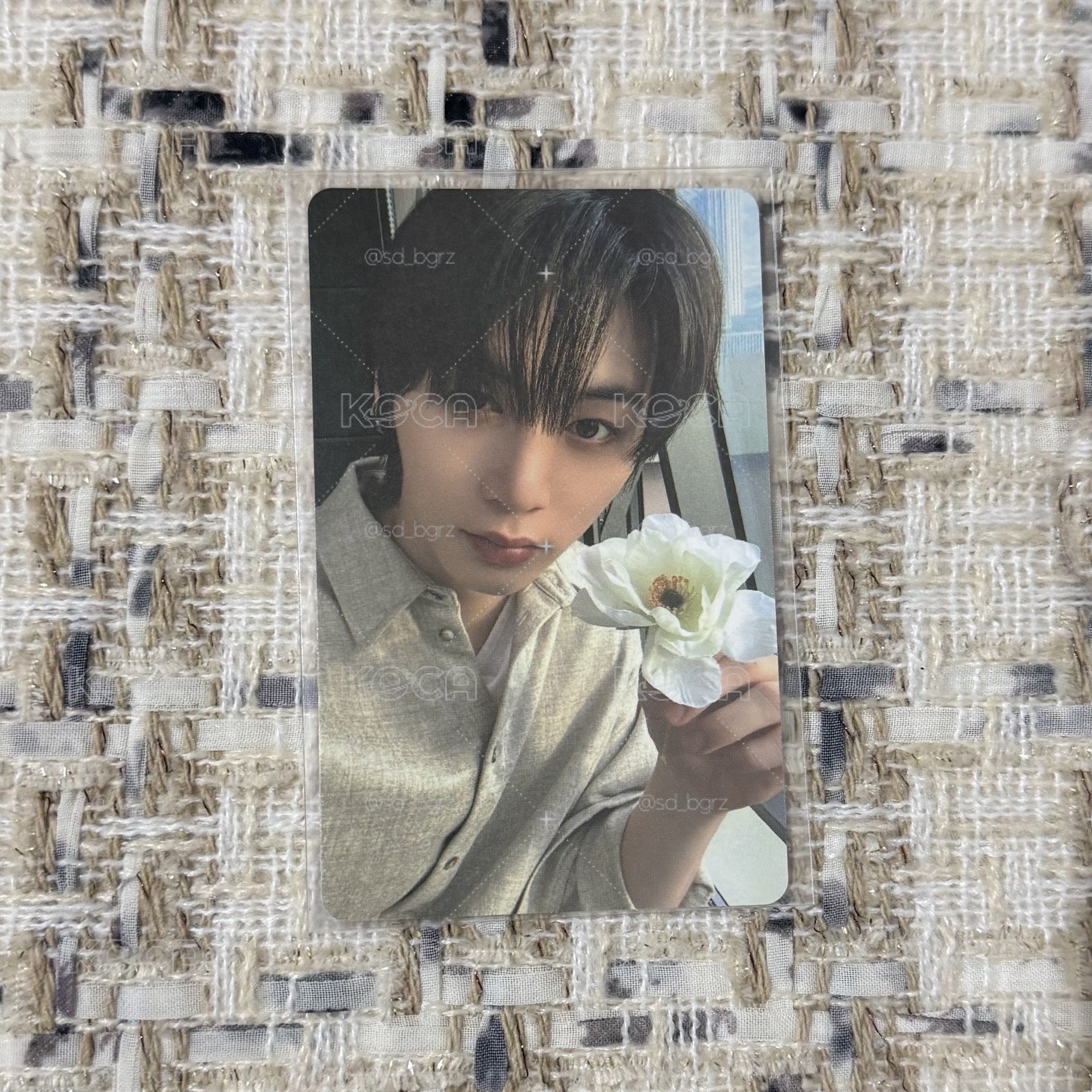 拿花4