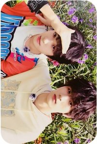 26新音 榮耀 R 隨機卡 