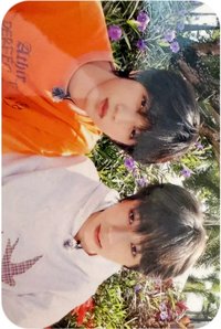 26新音 榮耀 R 隨機卡 