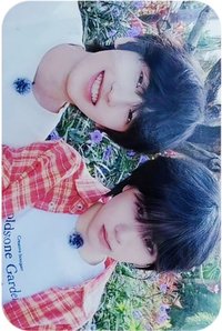 26新音 榮耀 隨機卡 