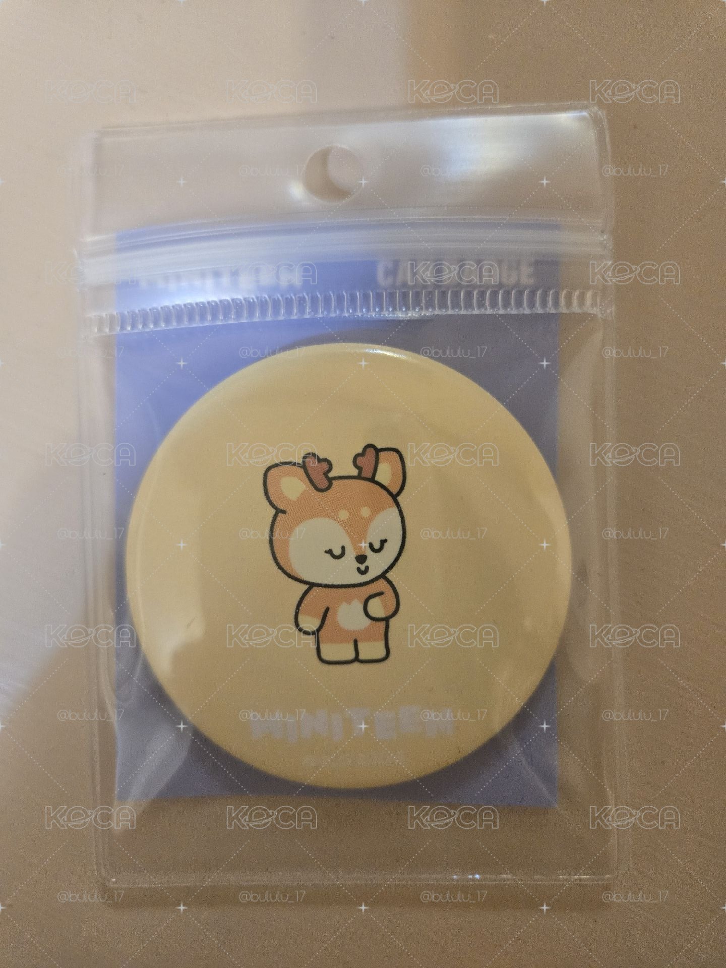 Joshua miniteen徽章