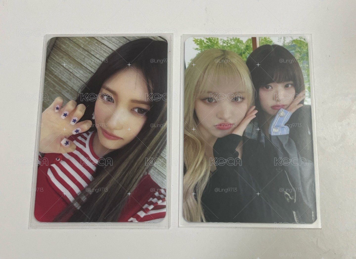 🐰🐱🐯