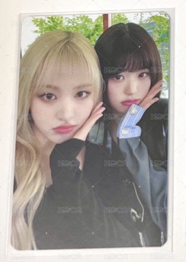 🐰🐱