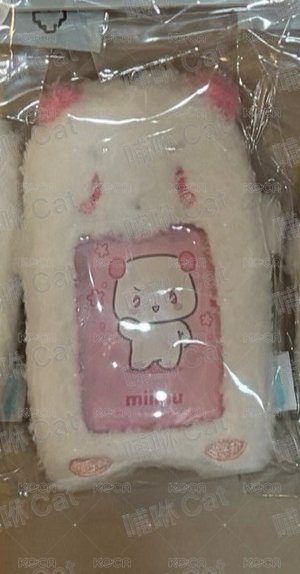 💗亞巡卡套