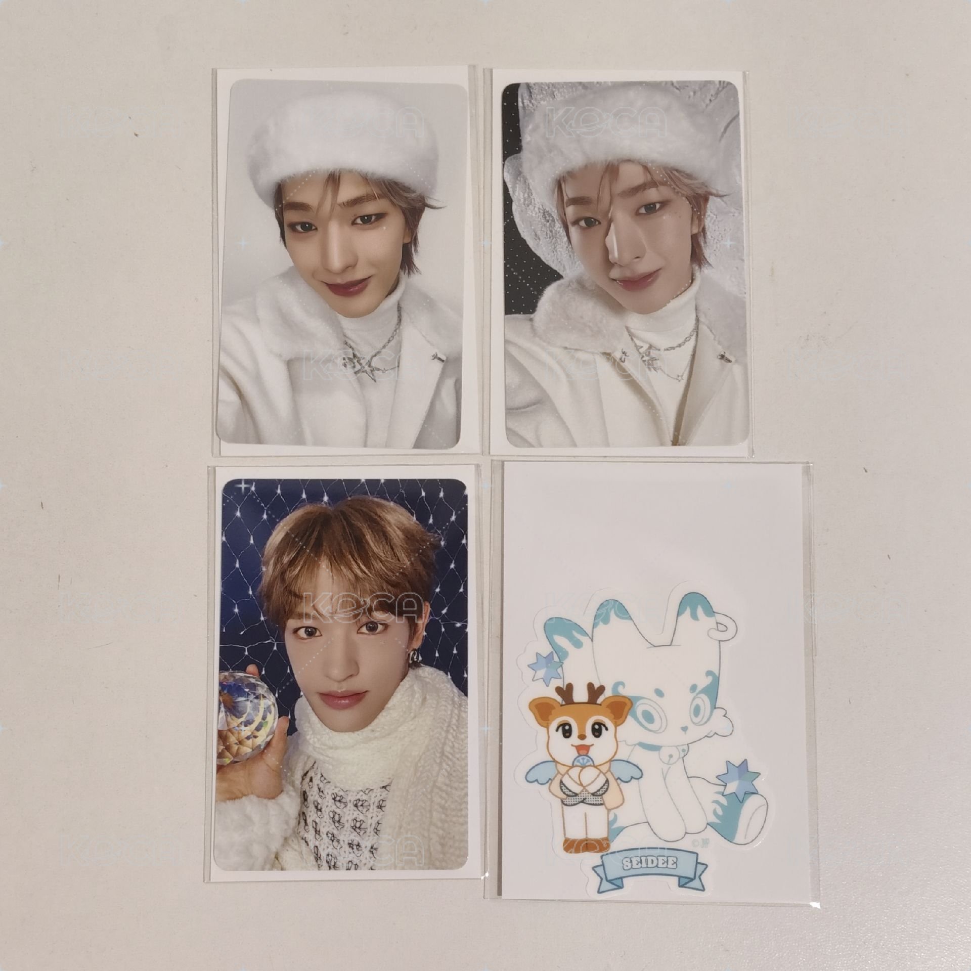 🐧兩版+🦌B小卡+🦌貼紙