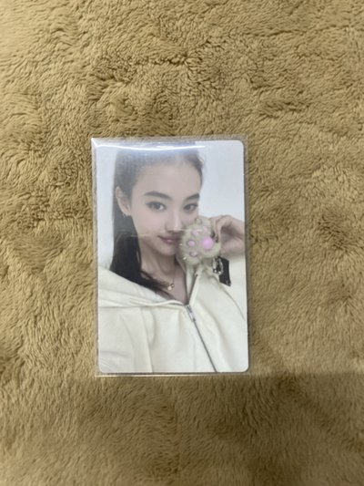 貓掌專卡