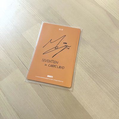 2025 SEVENTEEN in CARATLAND 隨機卡 MINGYU小卡