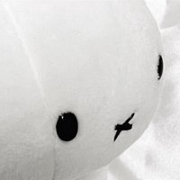 🦄（取貨完後沒問題請盡速按完成訂單