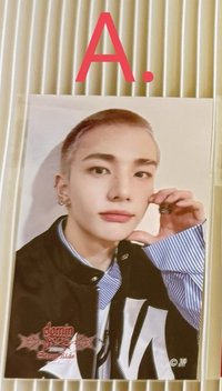 dominATE JAPAN 貼紙A