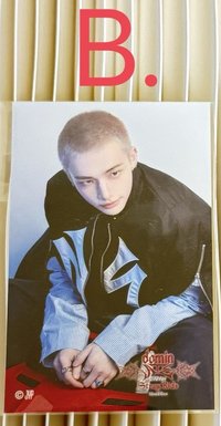 dominATE JAPAN貼紙B