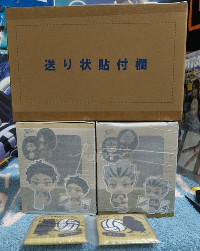 木兔&赤葦lookup 抬頭娃 制服款✨有特典坐墊 套組 全新未拆