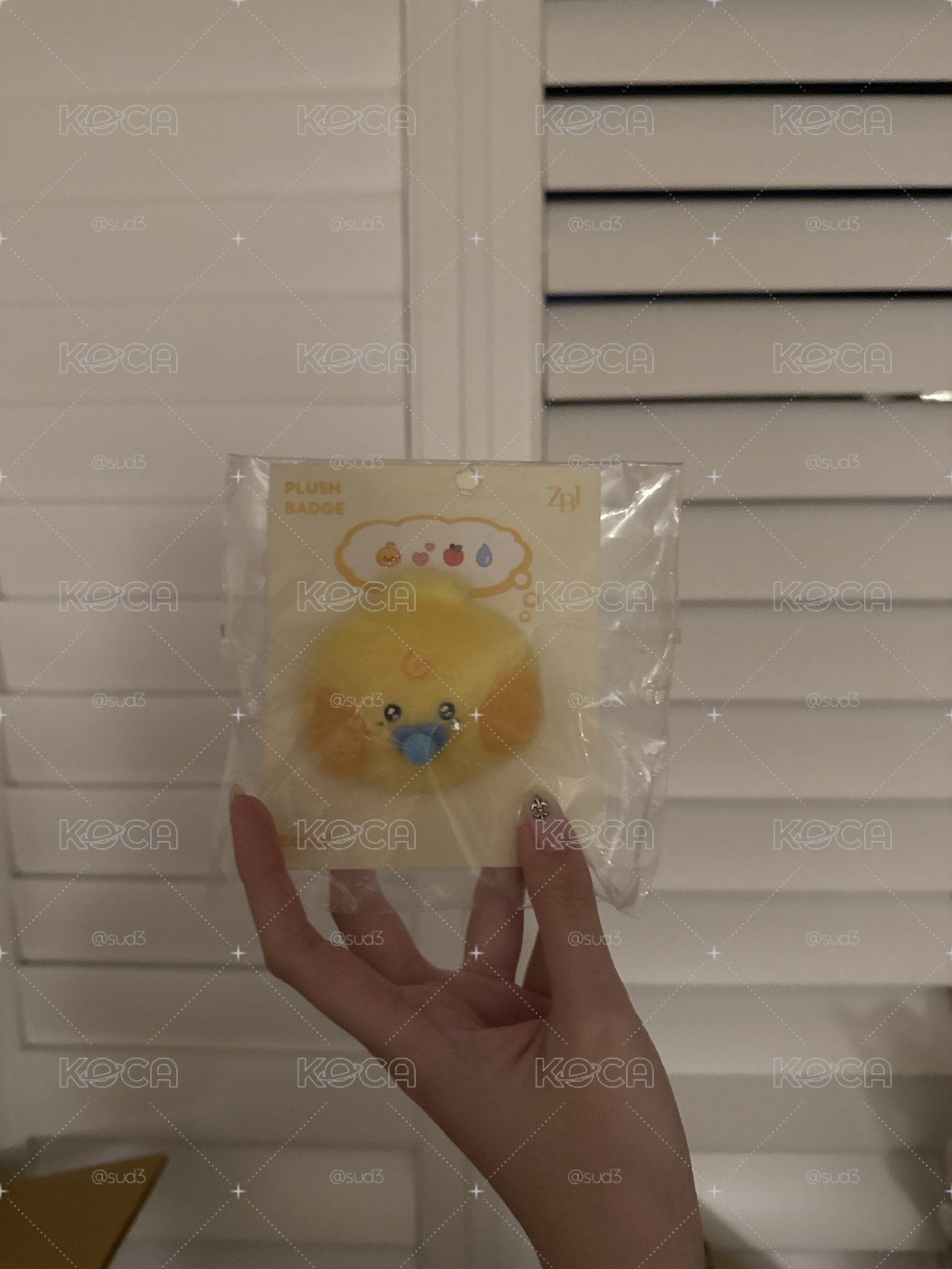 寶寶徽章來