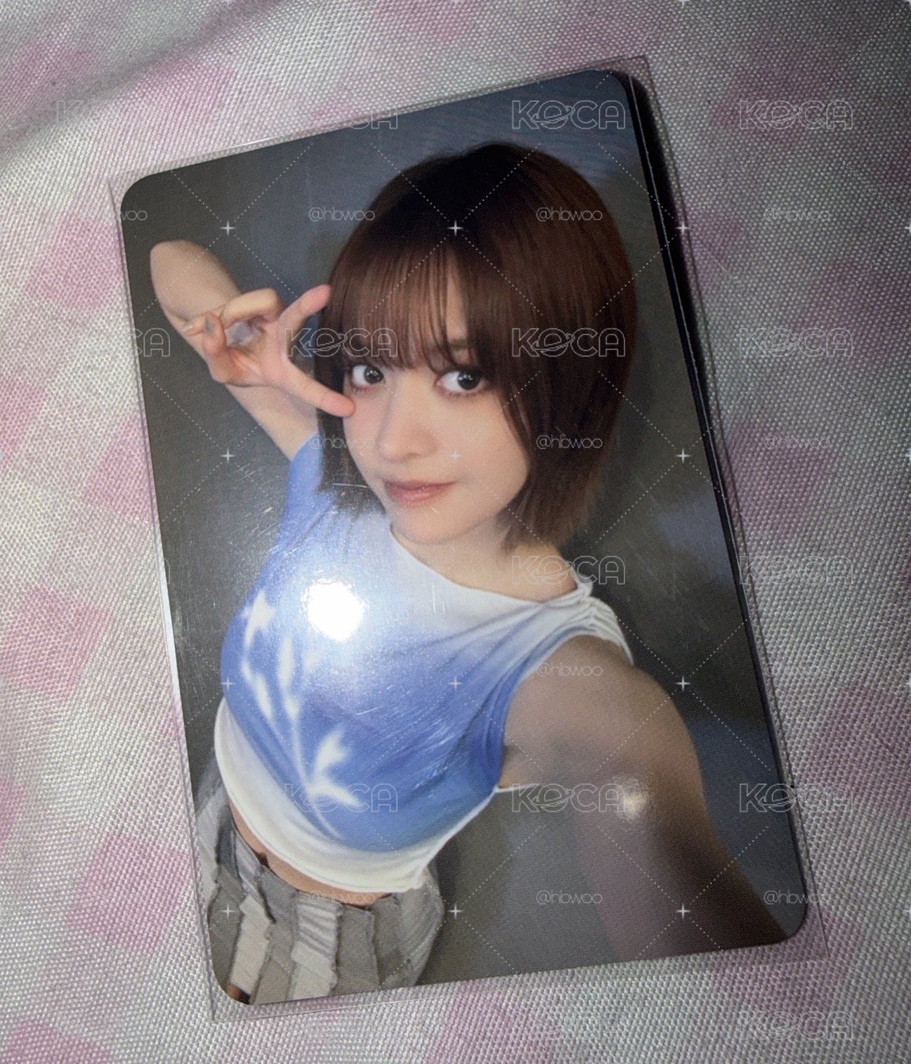 MS 莉 