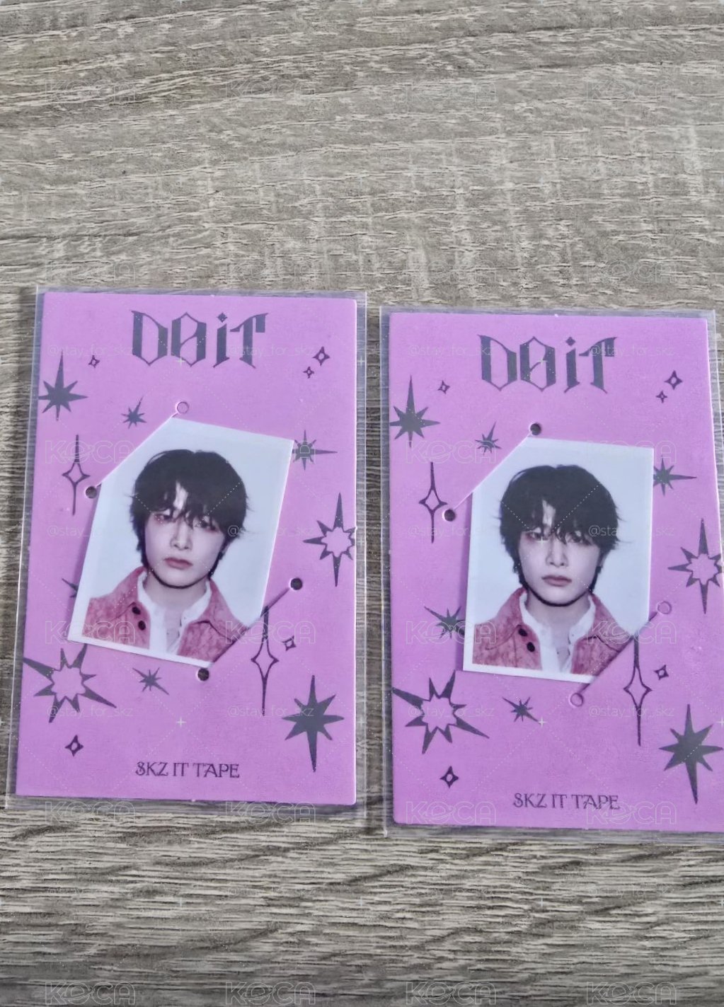🦊Do it I.N 伊恩尼 證件照