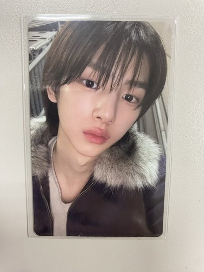  迷一 wvs 年末特典 主訓