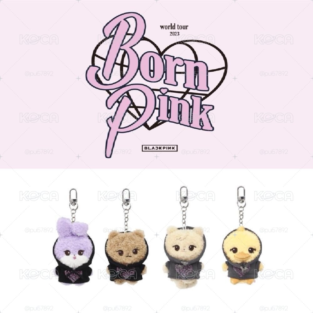 絕版現貨🇰🇷韓國正版BLACKPINK 演唱會限定 娃娃吊飾 鑰匙圈 世巡娃 Jennie Rosé Jisoo 