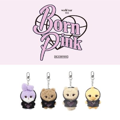 絕版現貨🇰🇷韓國正版BLACKPINK 演唱會限定 娃娃吊飾 鑰匙圈 世巡娃 Jennie Rosé Jisoo 